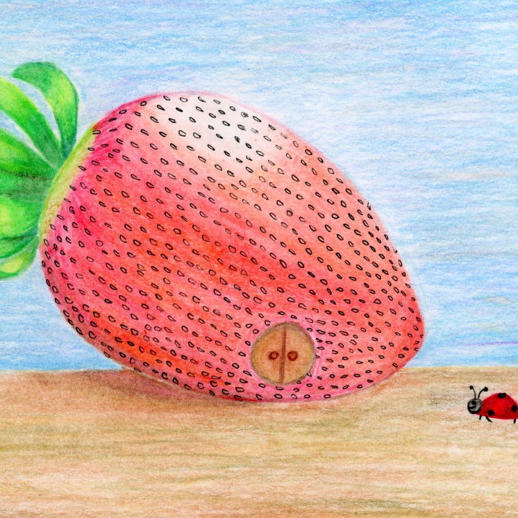 Mobirise